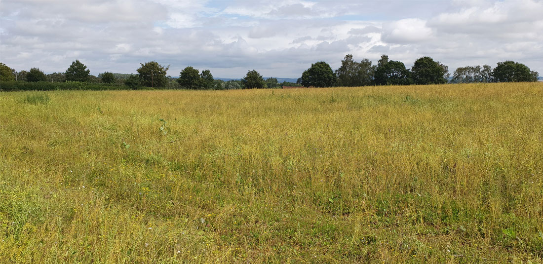 photo-of-tachbrook-farm